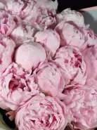 Монобукет Нежный рассвет