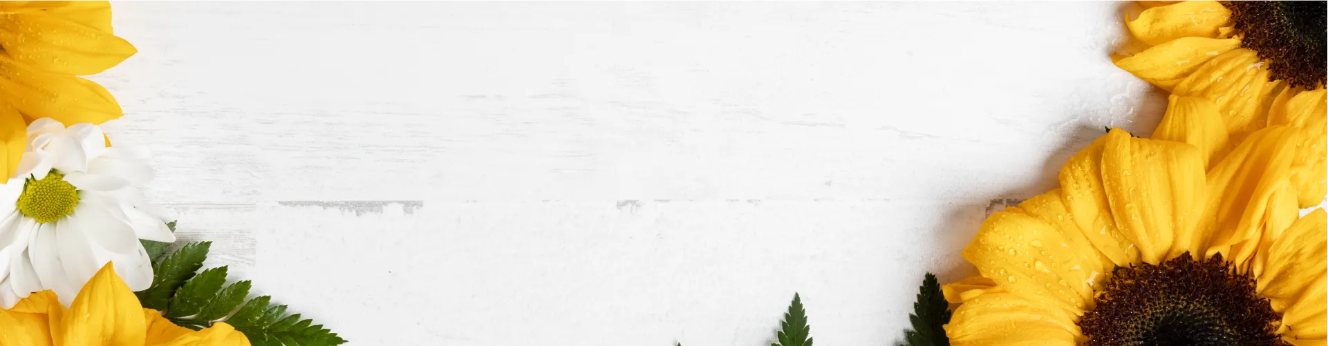 Бесплатная доставка по Петропавловску-Камчатскому