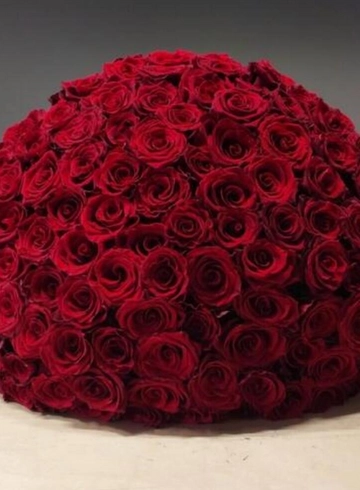 Монобукет Роза Эксплорер 60см 101шт от интернет-магазина цветов в 