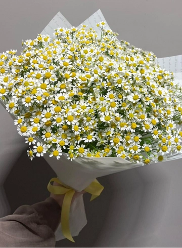 Танацентум 25 от интернет-магазина цветов в 