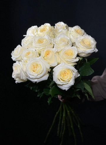 Роза Премиум 60см 15шт от интернет-магазина цветов в 