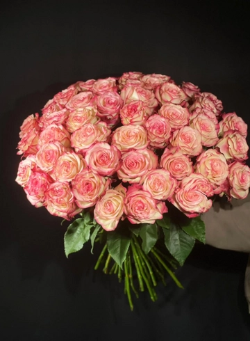 Монобукет Роза Палома 60см 51шт от интернет-магазина цветов в 