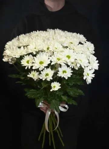 Моно букет Хризантема кустовая 9 шт бакарди от интернет-магазина цветов в 