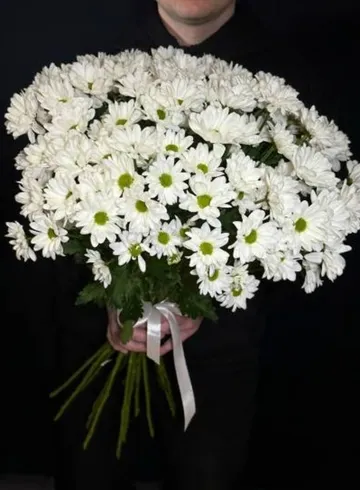 Моно букет Хризантема кустовая 15 шт Бакарди от интернет-магазина цветов в 